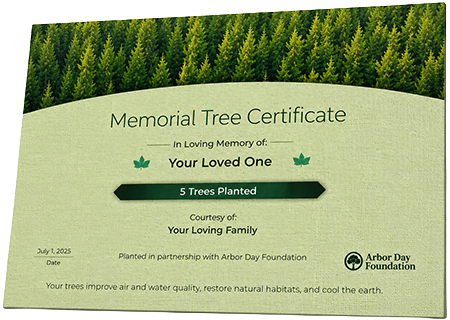Plant Trees in Memory of Kenneth Mickey